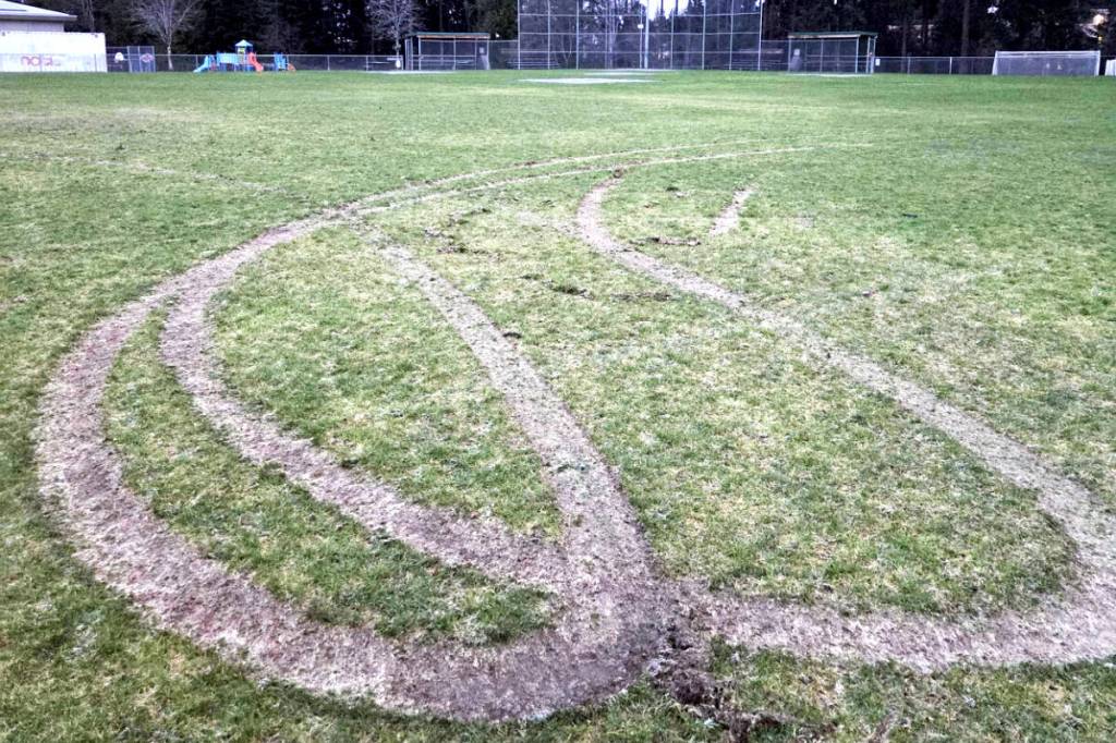 The Springwood Park playing field was vandalized, with the damage estimated at $3,000. (Contributed photo)